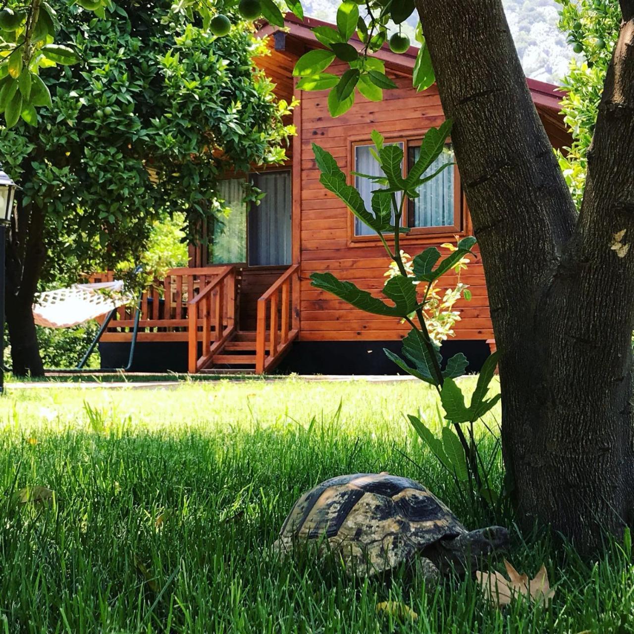 Asya Bungalow Чирали Екстер'єр фото
